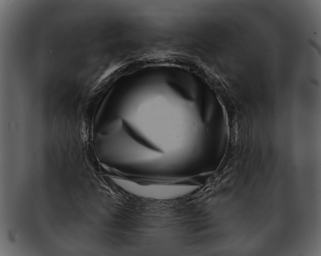 X0000093101206200710171153