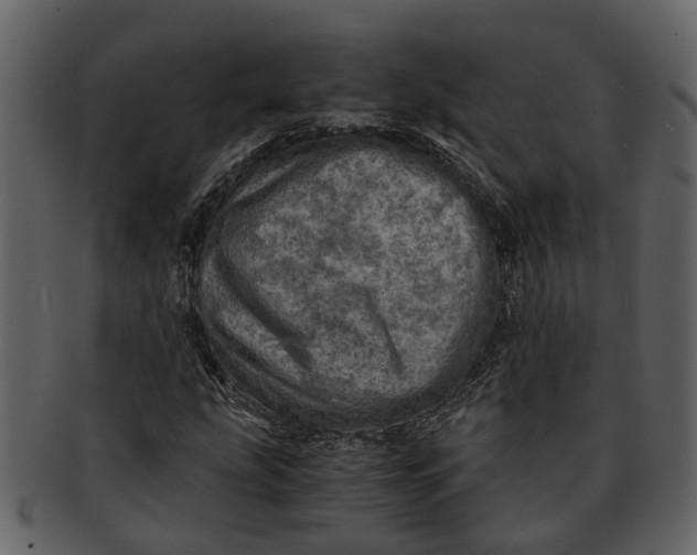 X0000093101207200710171153