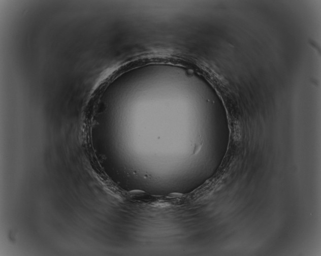 X0000093101208200710171153