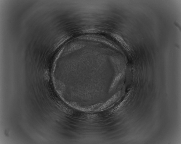 X0000093101209200710171153