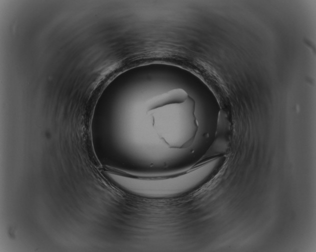 X0000093101210200710171153