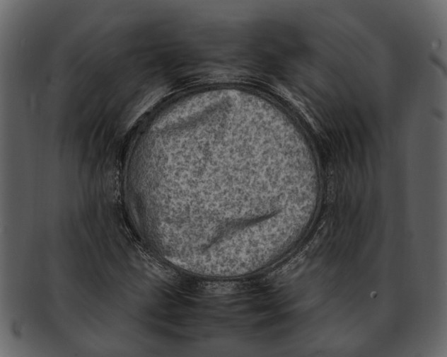 X0000093101211200710171153