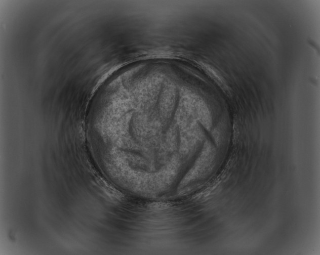 X0000093101212200710171153