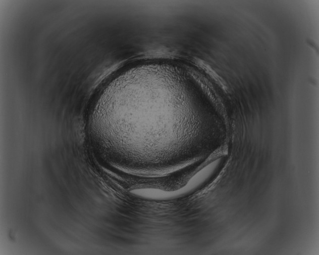 X0000093101213200710171153