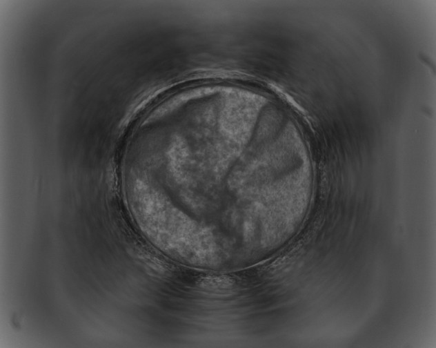 X0000093101215200710171153