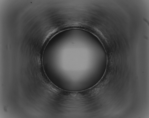 X0000093101218200710171153