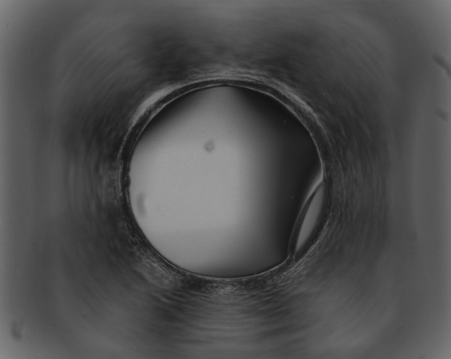 X0000093101222200710171153