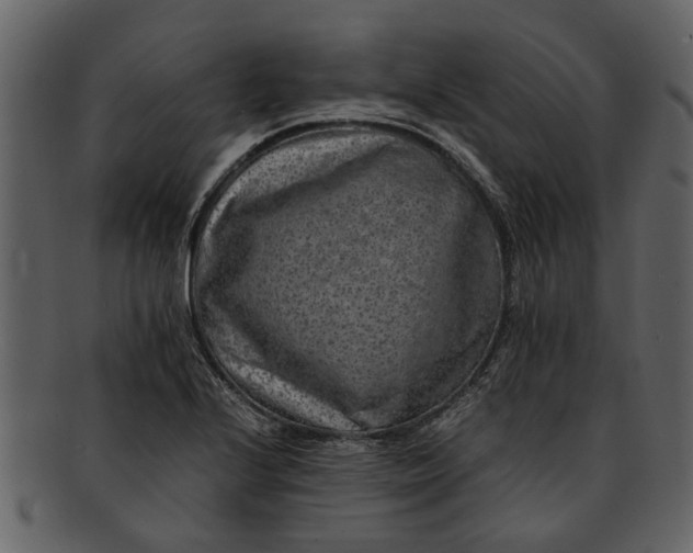 X0000093101224200710171153