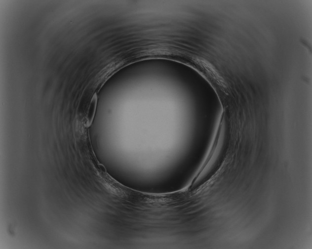 X0000093101225200710171153
