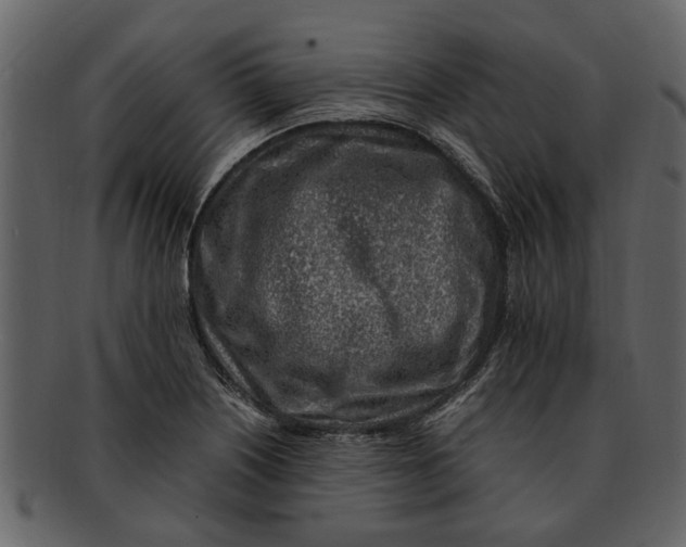 X0000093101226200710171153