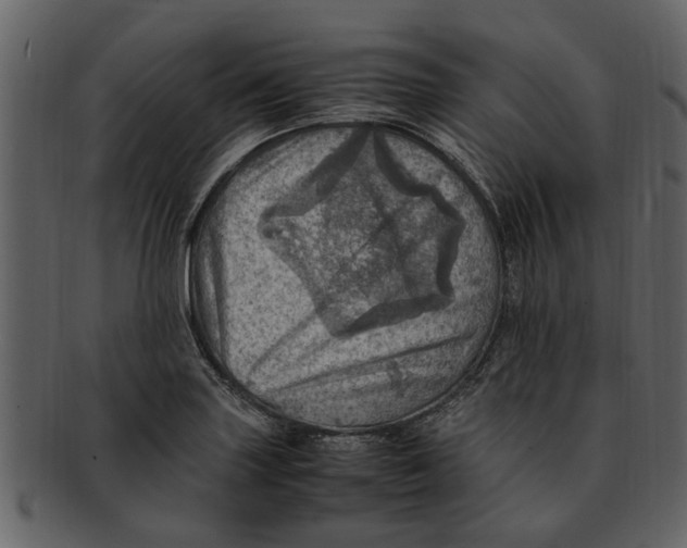 X0000093101227200710171153