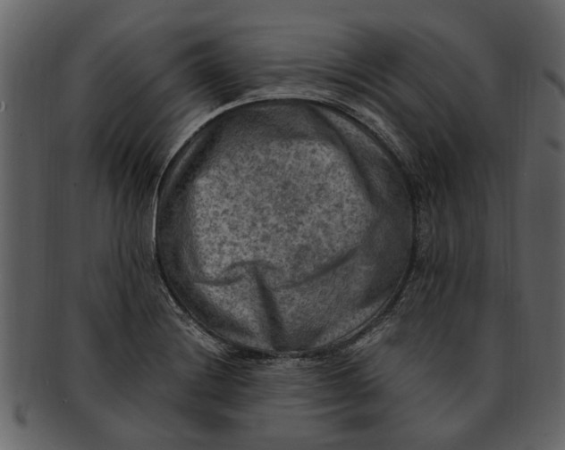 X0000093101228200710171153