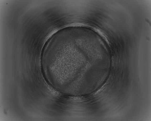 X0000093101229200710171153