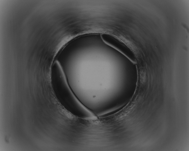 X0000093101230200710171153