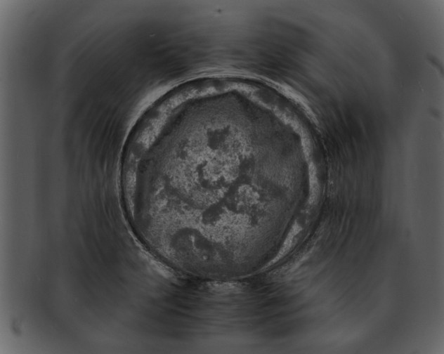 X0000093101231200710171153
