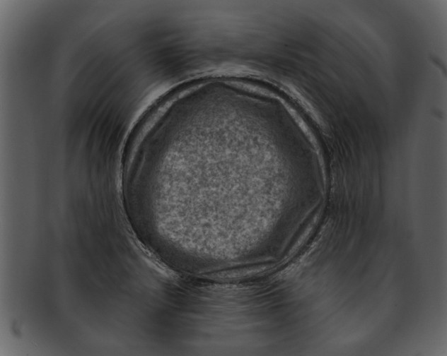 X0000093101232200710171153