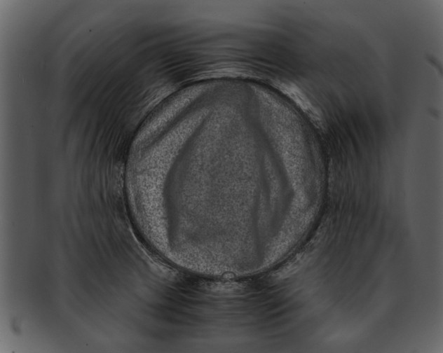 X0000093101233200710171153
