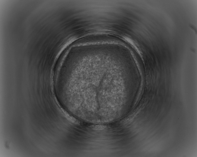X0000093101235200710171153