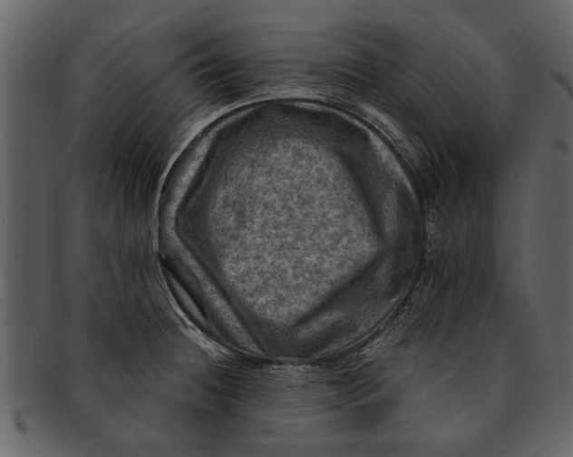 X0000093101236200710171153