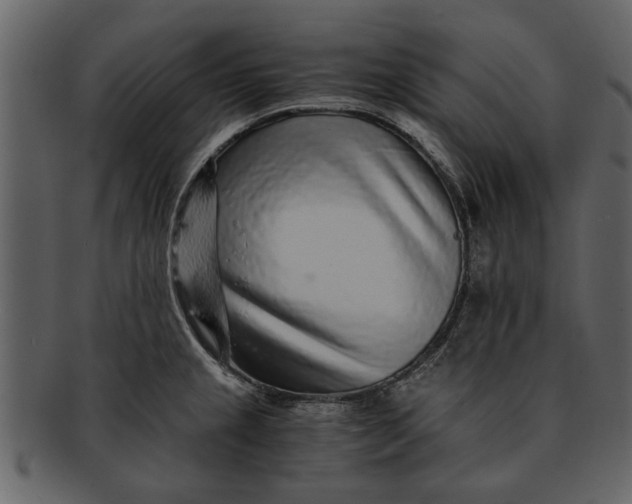 X0000093101237200710171153