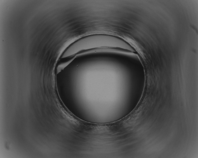 X0000093101238200710171153