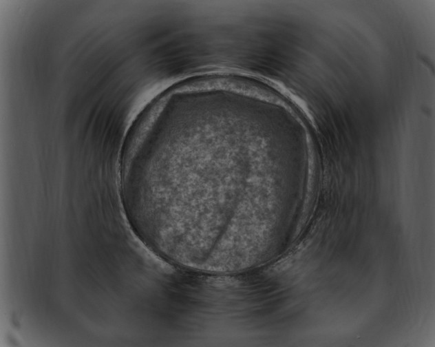 X0000093101239200710171153
