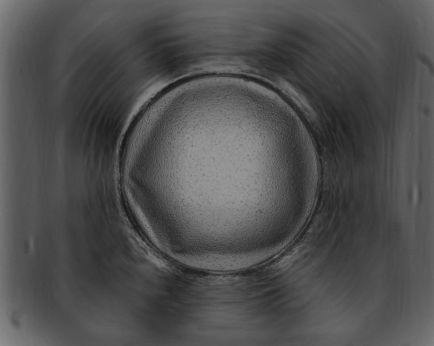 X0000093101240200710171153