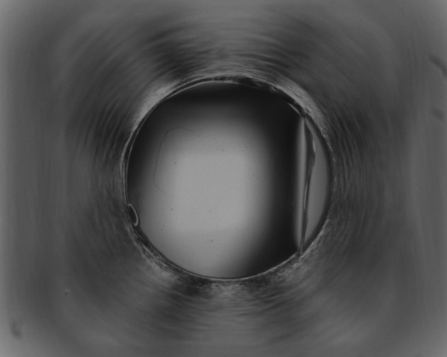 X0000093101242200710171153