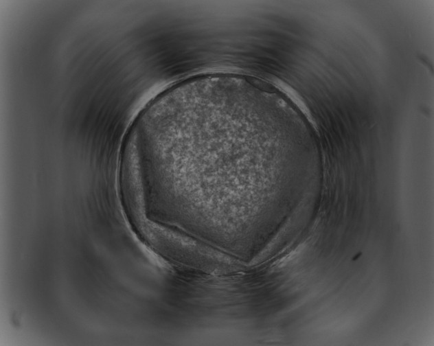 X0000093101245200710171153