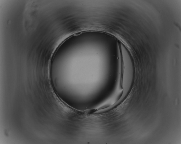 X0000093101246200710171153