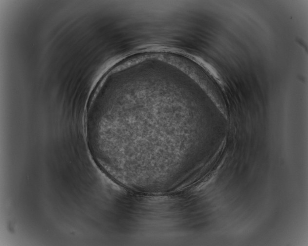 X0000093101247200710171153