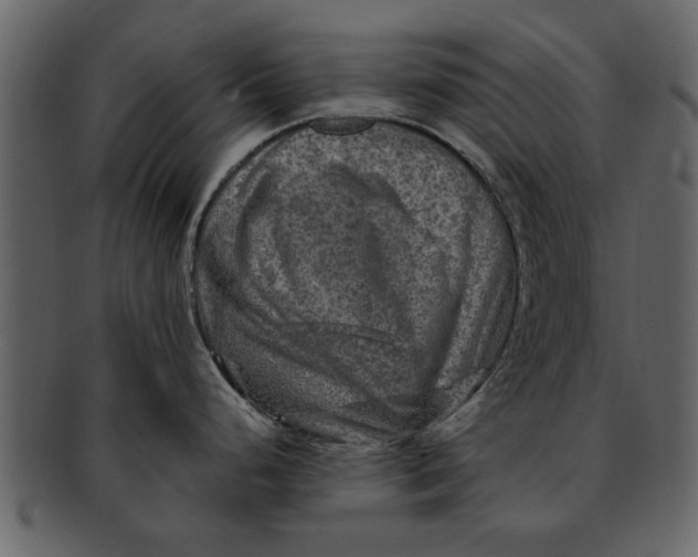X0000093101248200710171153