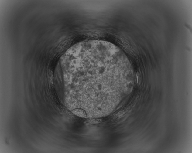 X0000093101251200710171153