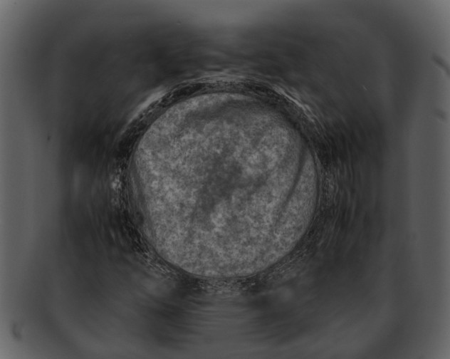 X0000093101254200710171152