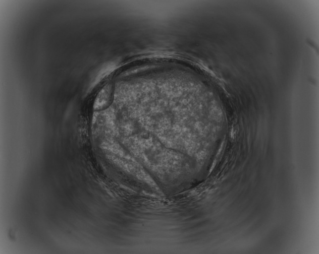 X0000093101255200710171152