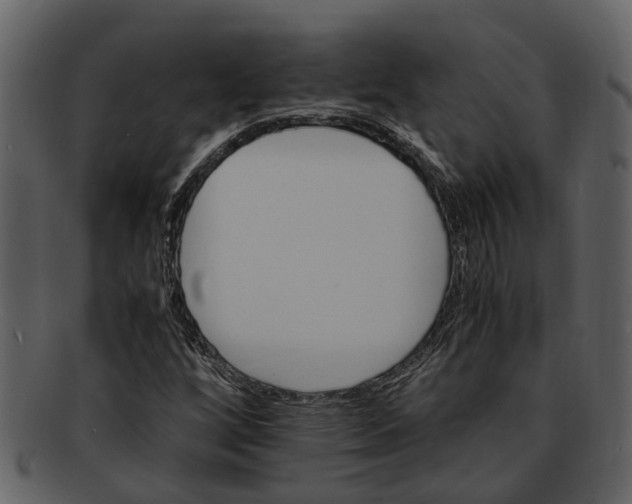 X0000093101256200710171152