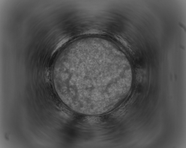 X0000093101258200710171152