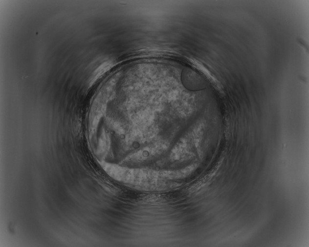 X0000093101259200710171152