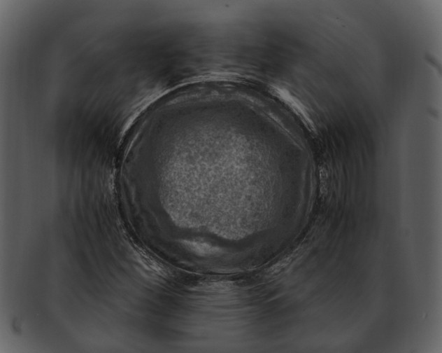 X0000093101260200710171152