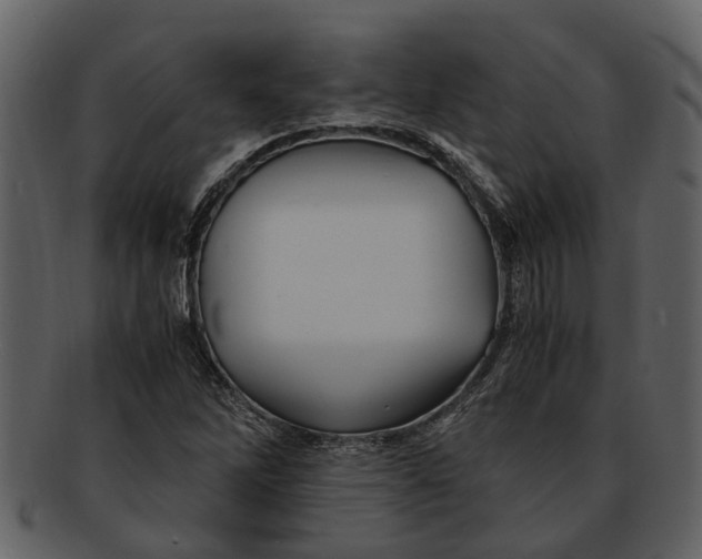 X0000093101262200710171152