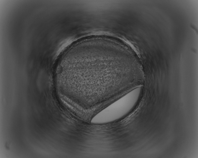 X0000093101263200710171152
