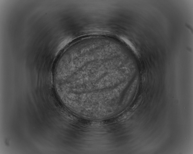 X0000093101267200710171152