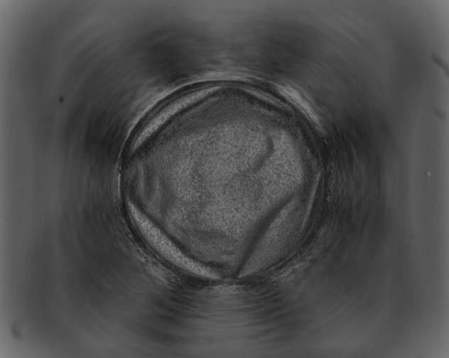 X0000093101268200710171152
