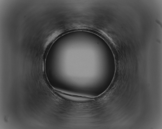 X0000093101269200710171152