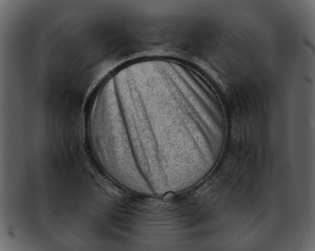 X0000093101270200710171152