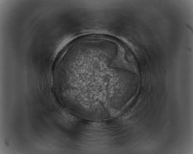 X0000093101271200710171152