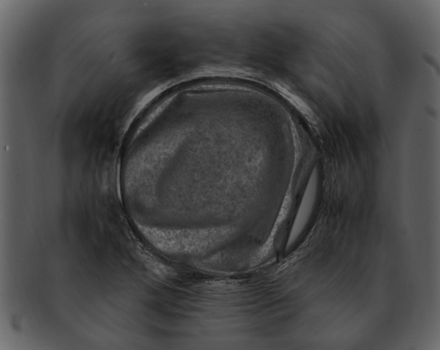 X0000093101272200710171152