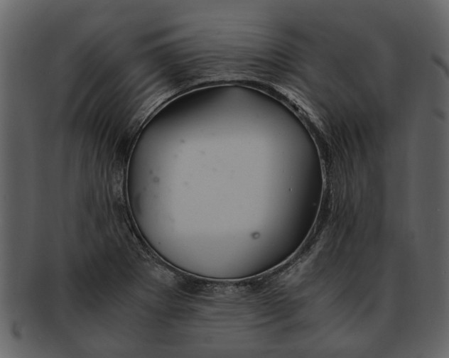 X0000093101273200710171152
