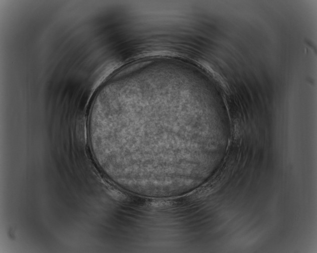 X0000093101274200710171152