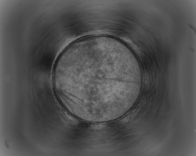 X0000093101278200710171152